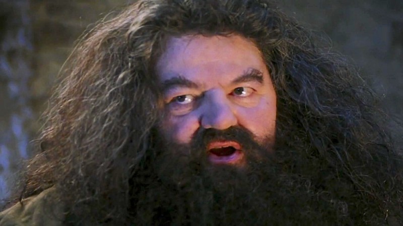 Create meme: Hagrid from Harry, hagrid the actor, Hagrid Harry Potter