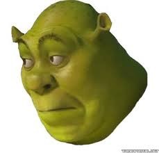 Create meme: the head of Shrek, Shrek surprise, surprised Shrek