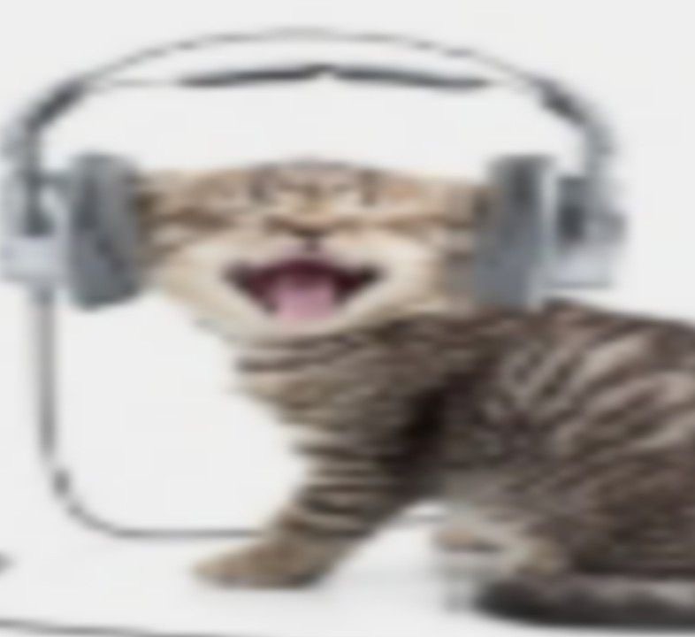 Создать мем: орущий кот в наушниках, котик в наушниках, кошка с наушниками