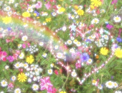 Create meme: wildflowers , a blooming lawn, floral