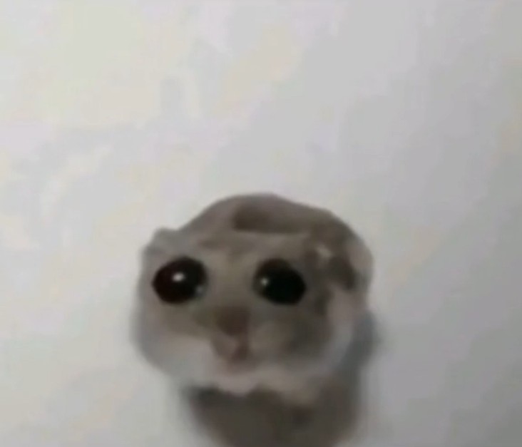 Create meme: hamster with a cross meme, cat , cats memes 2023