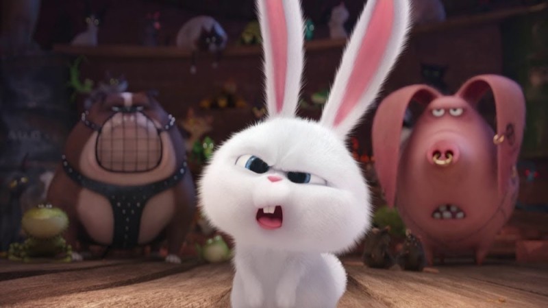 Создать мем: кролик из тайная жизнь домашних животных, тайная жизнь домашних животных, кролик снежок