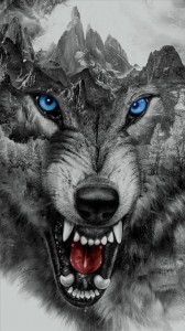 Create meme: wolf sketch, wolf, wolf wild