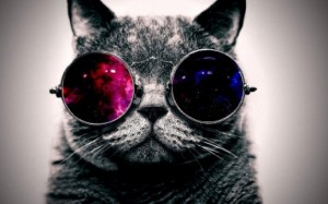 Create meme: screensaver cat in glasses, cat in glasses pictures, cat in glasses space original