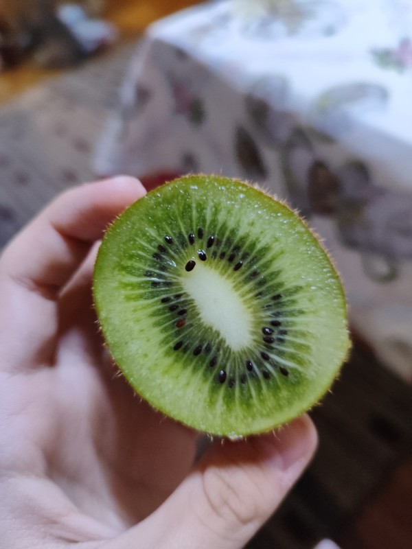 Create meme: kiwi fruit, kiwi fruit, kiwi slice