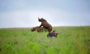 Create meme: rhino, photographer naturalist, Rhino