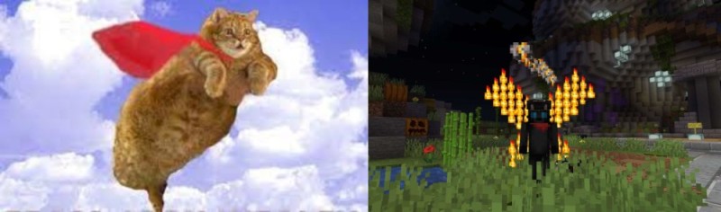 Create meme: dream cat minecraft, flying cat , the cat in minecraft