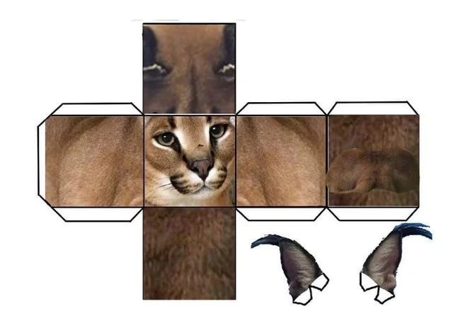 Создать мем: бумажные животные шаблоны, паперкрафт кот, квадратный кот из бумаги