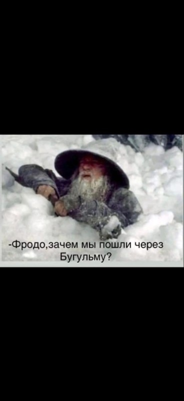 Create meme: Gandalf in the snow, Why did we go through Saratov Frodo, Frodo why did we go through