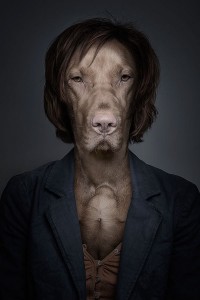 Создать мем: собака животное, веймаранер с человеком, креативный портрет