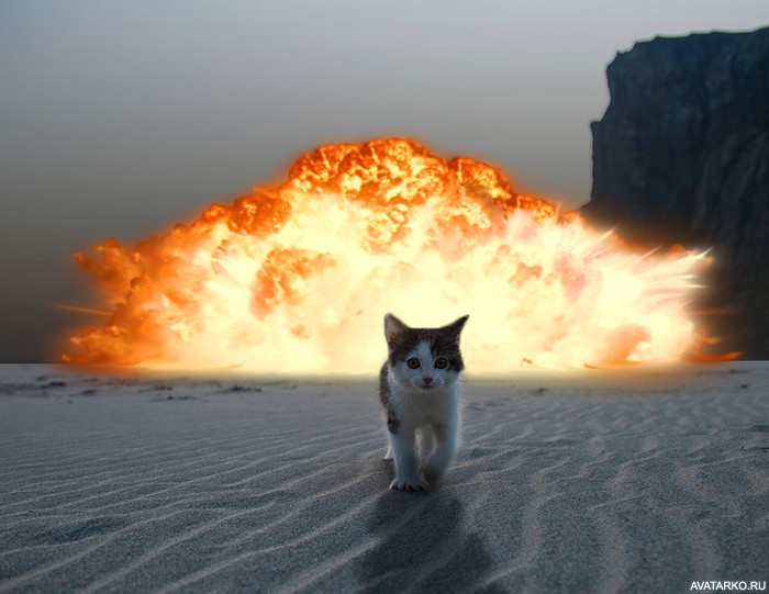 Создать мем: крутые котики, на фоне взрыва, крутой кот