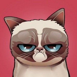 Create meme: gloomy cat, grumpy cat, grumpy cat