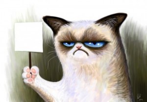 Создать мем: грустная кошка мем, недовольный кот с табличкой, недовольный кот мем