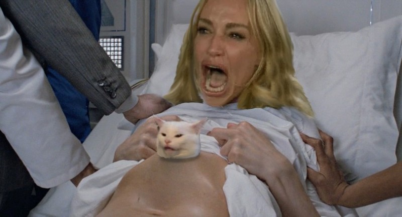 Создать мем: кошка женщина, woman yelling at a cat, кот мем