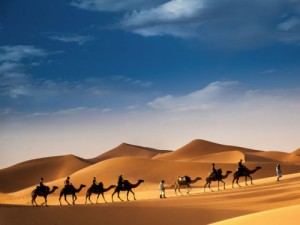 Create meme: camel in the desert, caravan in the desert, desert