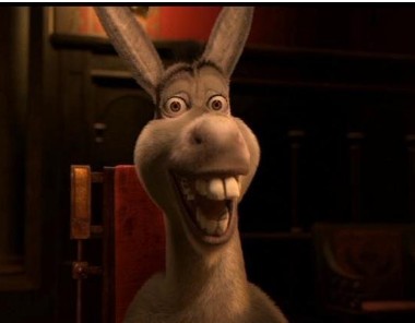 Create meme: donkey from Shrek , donkey Shrek meme, meme donkey from Shrek 