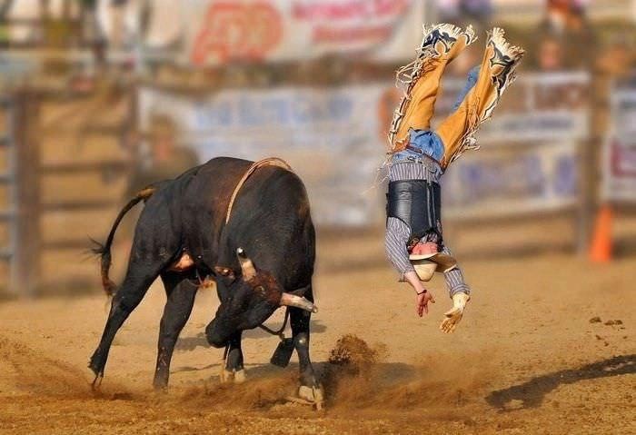Create meme: Rodeo bull, Rodeo, bull racing