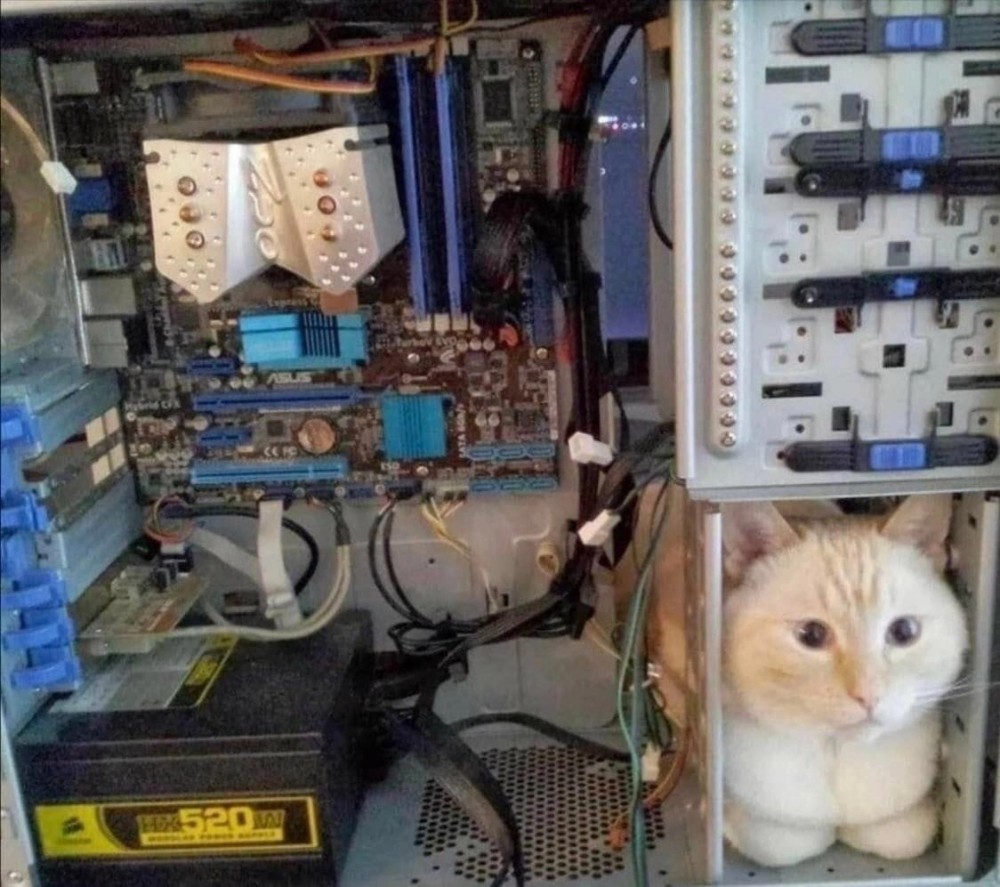 Create meme: the cat in the computer, the cat in the system unit, funny computers