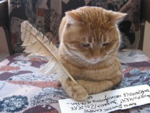 Создать мем: кот пишет письмо, Кошка, коты