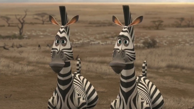 Create meme: Zebra Marty , zebra marty from madagascar, Madagascar 