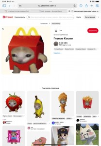 Создать мем: кот в пакете, roblox, забавные зверюшки