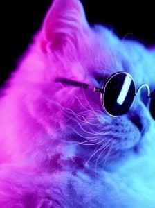 Create meme: The cat in the neon light, neon cats, neon cat