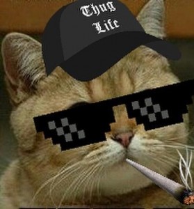 Создать мем: я гангста, кот, Гангста рыжий кот