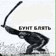 Create meme: piç, Bund fucking, rebellion a monkey with a stick