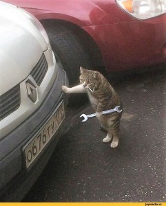 Создать мем: кот механик, кот ремонтирует машину, кошка