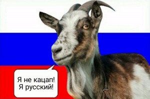 Create meme: goat funny, goat, goat