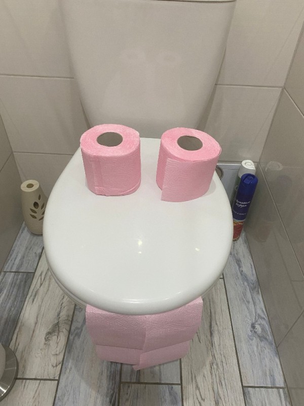Create meme: pink toilet paper, toilet paper constipation, the toilet toilet