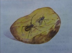 Создать мем: муравей в янтаре, рисунок муравья, муравей в живописи