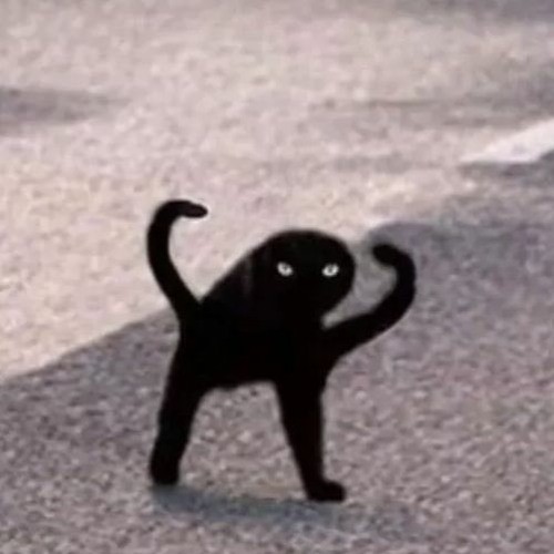 Создать мем: ъуъ съука черный кот мем, кот ъуъ, ъуъ оригинал черный кот