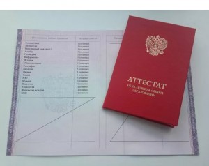 Создать мем: аттестат 11 класс, аттестат за 9 класс, аттестаты