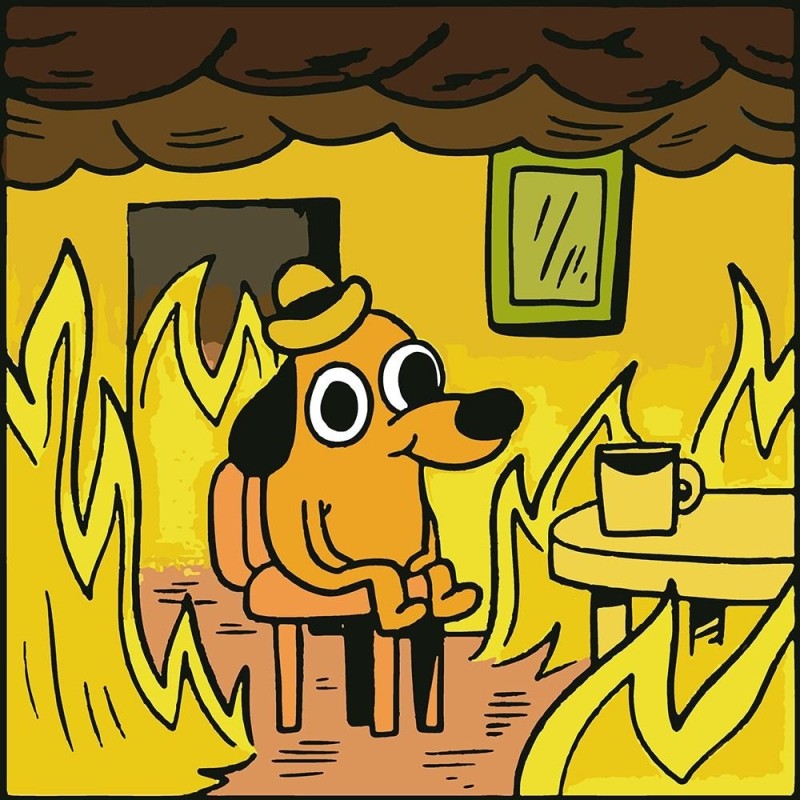 Создать мем: мем собака в огне, собака в пожаре мем, мем собака в горящем доме