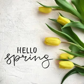 Create meme: tulips background