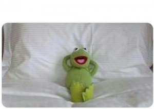 Create meme: Kermit, Kermit the frog, Kermit the frog