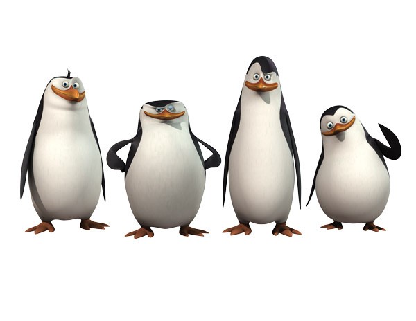 Создать мем: пингвины из мадагаскара без фона, пингвины из мадагаскара ковальски, мадагаскар пингвины