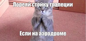 Создать мем: умоляющий котик, умоляющий кот, котик просит прощения