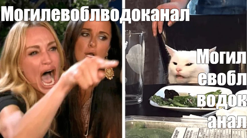 Мем с котом и женщиной. Мемы про кота и двух женщин. Мем с женщиной и котом. Мемы с котом и девушками. Мем кот и две девушки.