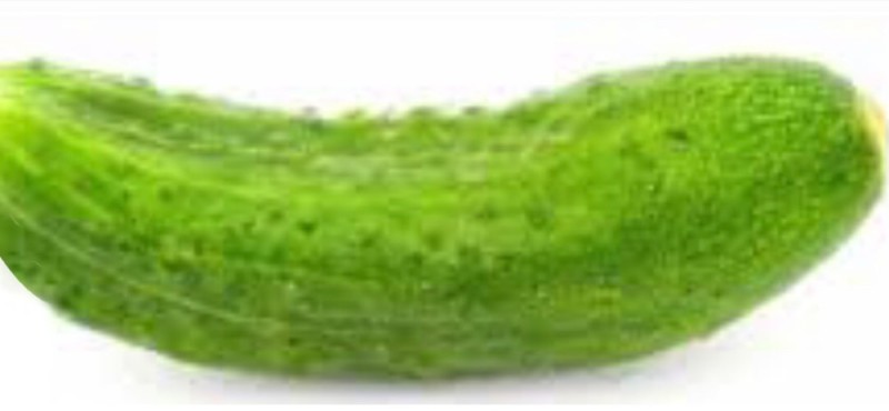 Create meme: cucumber cucumber, common cucumber, cucumber on white background
