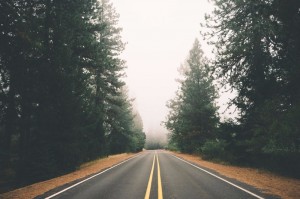 Create meme: road, Wallpaper for iPhone x way, forest road aesthetic