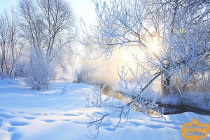Create meme: winter frost