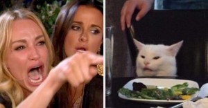 Создать мем: мем кот и две девушки, woman yelling at a cat мем по русски, мемы с котом и девушками
