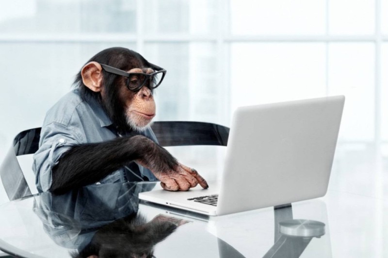 Создать мем: обезьяна программист, обезьяна перед компьютером, обезьяна за компом