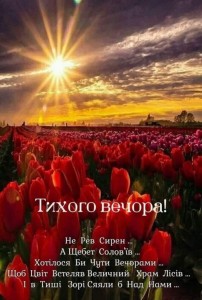 Create meme: field of tulips, postcard