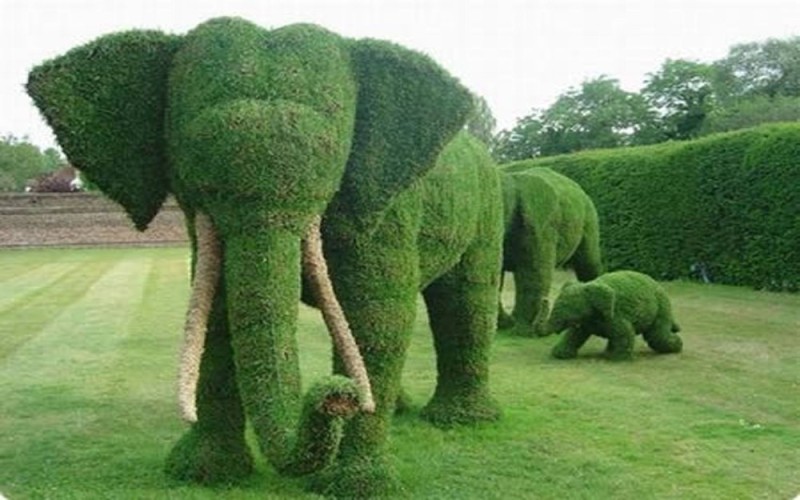 Create meme: willow brittle topiary figures, topiary elephant, topiary elephant