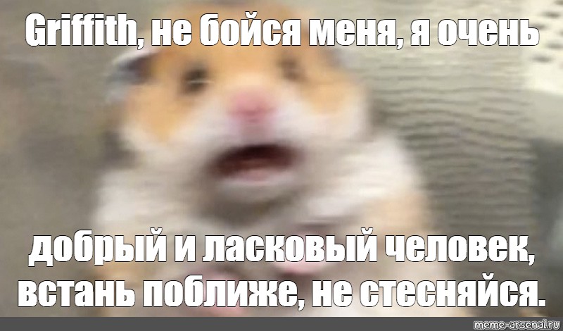 Плачущий хомяк мем