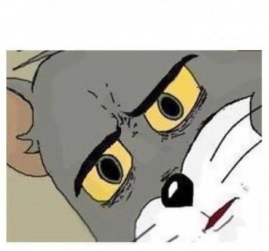 Create meme: Surprised cat Tom