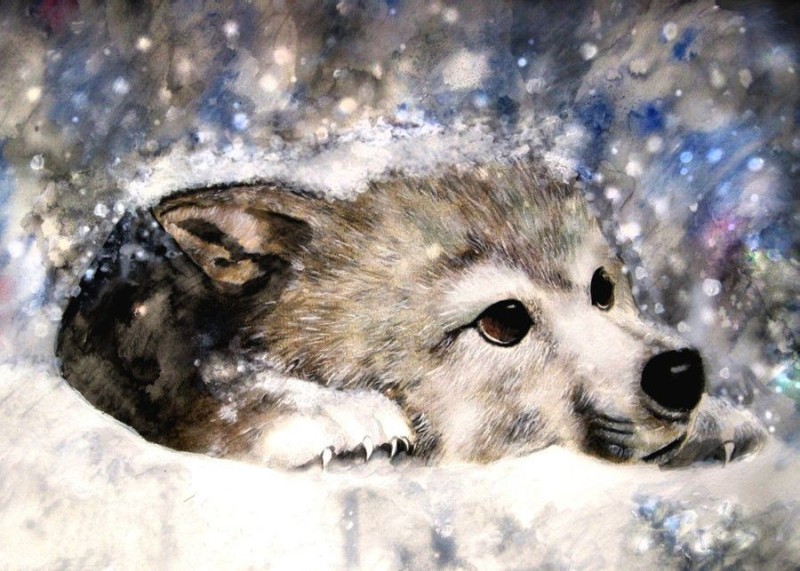 Create meme: cute wolves, wolf , wolves drawings